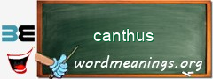 WordMeaning blackboard for canthus